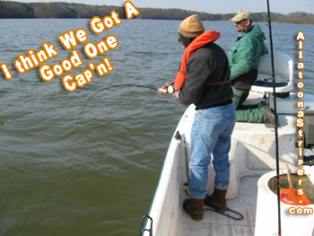 Lake Allatoona Fishing Guides - Big Striper On the Line!