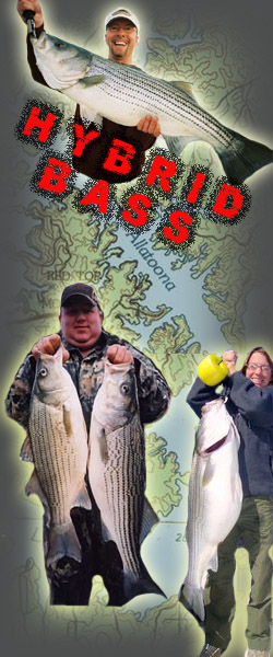 Fishing Lake Allatoona With Fred Duncan Lake Allatoona Fishing Guide