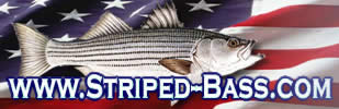 Striped-bass.com - All Striper Fishing, All The Time!