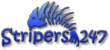 Stripers247.com - Online Resource for all things STRIPER!
