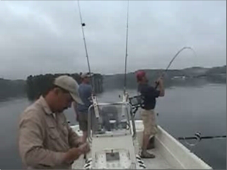 Click To See Lake Allatoona Georgia Fishing Guide Service Striper Fishing Videos!