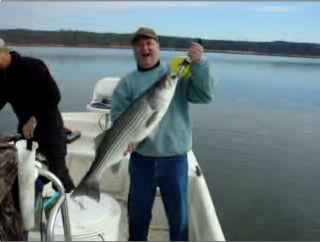 Click To See Lake Allatoona Georgia Fishing Guide Service Striper Fishing Videos!